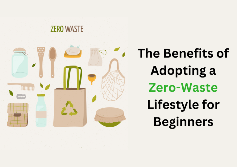 zero waste